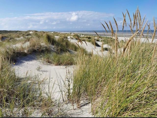 Seeblick Lachmoewe, Exklusive Lage In Strandnaehe Wangerooge Εξωτερικό φωτογραφία